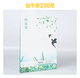 檔案袋定制文件袋