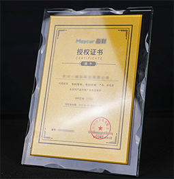 金箔水晶獎牌定制